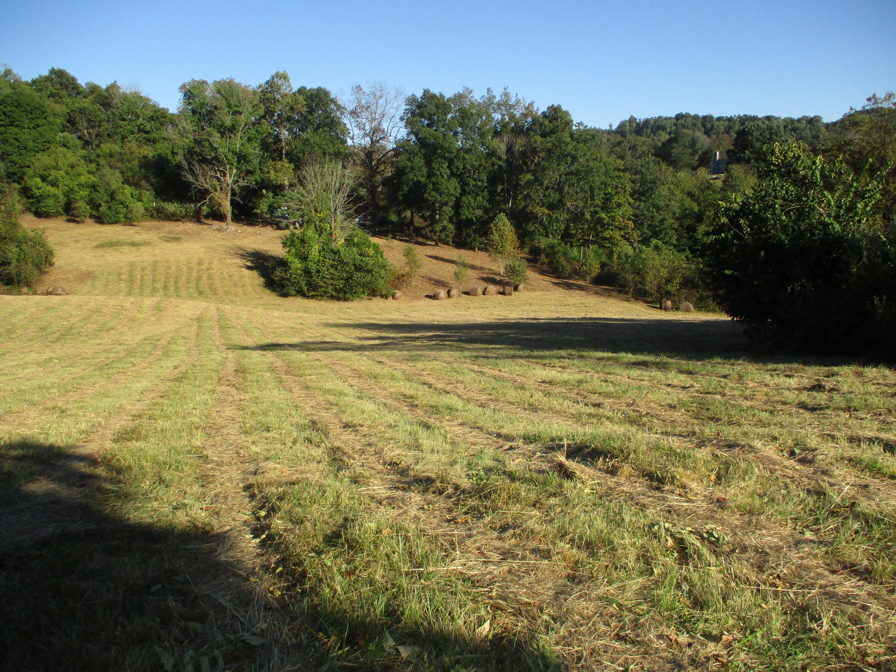 545 Lovelace Road Fall Branch, TN 37656 - Photo 30 of 38 IMG_2993