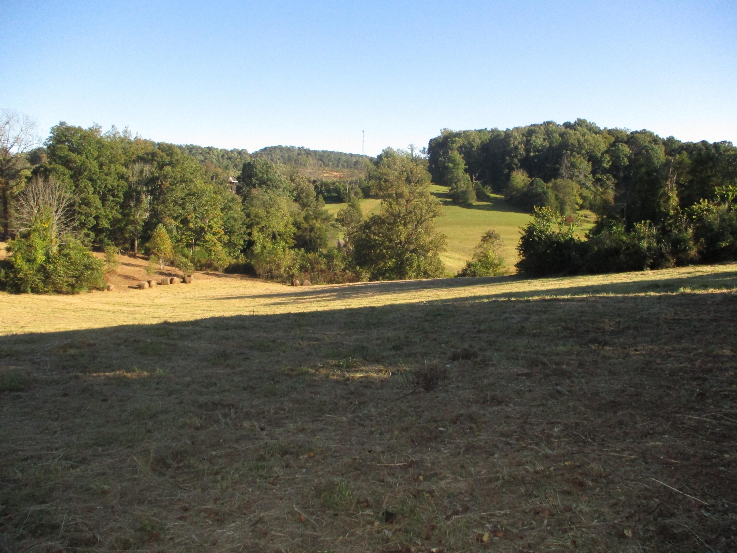 545 Lovelace Road Fall Branch, TN 37656 - Photo 31 of 38 IMG_2994