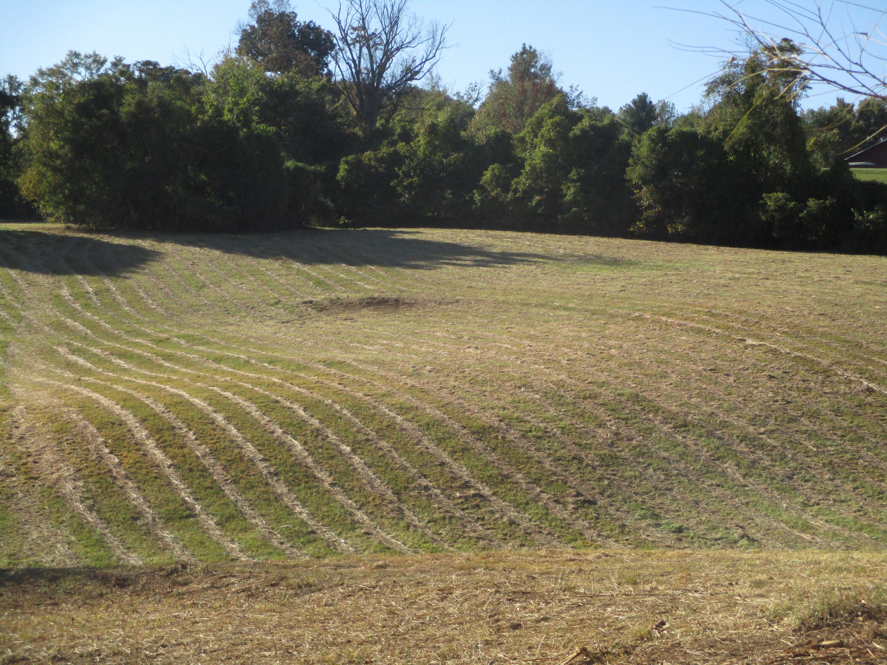 545 Lovelace Road Fall Branch, TN 37656 - Photo 10 of 38 IMG_2971