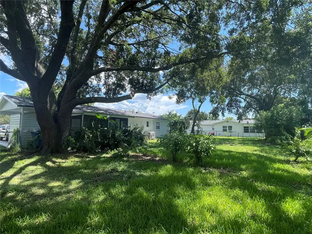 a view of a garden with a tree