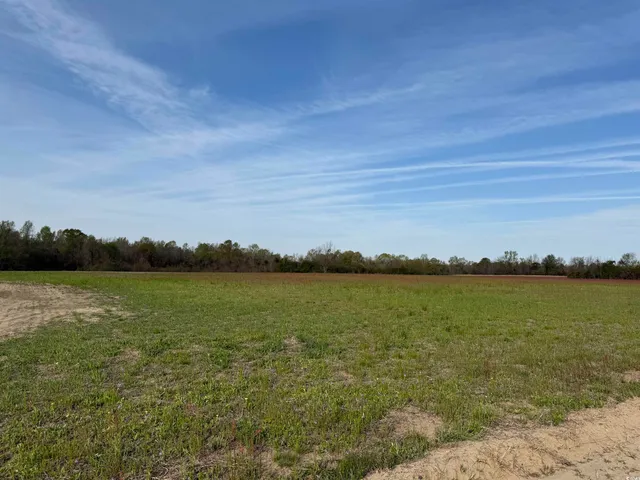 $134,750 | Phil Court, Marion, SC 29571