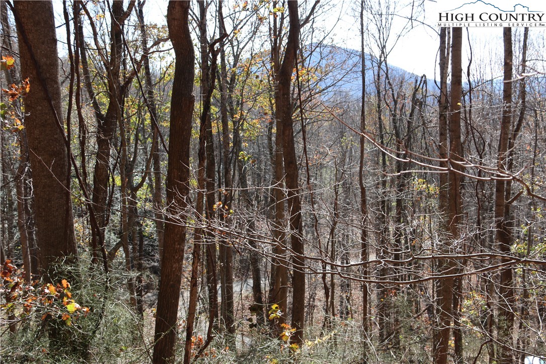 Lot 24 Mountain Shadows Road Jefferson, NC 28640 - Photo 1 of 6 Gallery Image 1