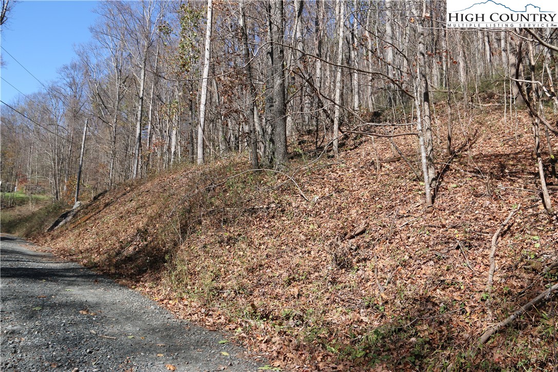 Lot 24 Mountain Shadows Road Jefferson, NC 28640 - Photo 2 of 6 Gallery Image 2