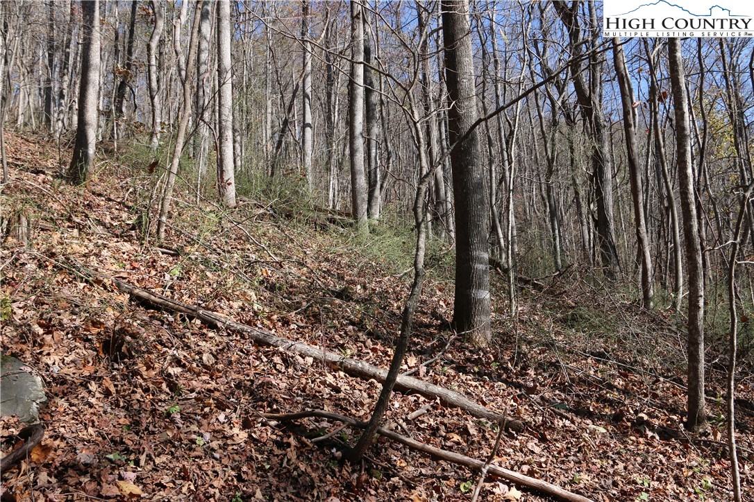 Lot 24 Mountain Shadows Road Jefferson, NC 28640 - Photo 3 of 6 Gallery Image 3