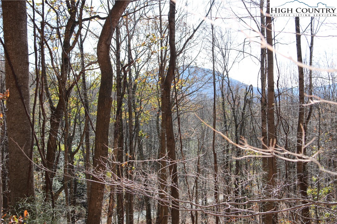 Lot 24 Mountain Shadows Road Jefferson, NC 28640 - Photo 4 of 6 Gallery Image 4