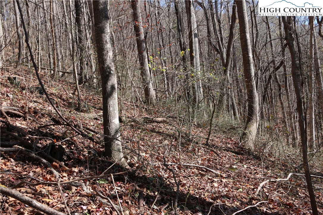 Lot 24 Mountain Shadows Road Jefferson, NC 28640 - Photo 5 of 6 Gallery Image 5