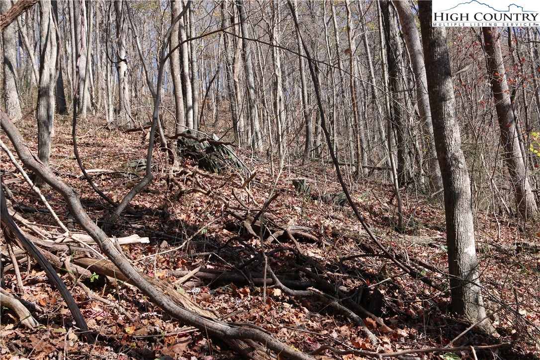 Lot 24 Mountain Shadows Road Jefferson, NC 28640 - Photo 6 of 6 Gallery Image 6