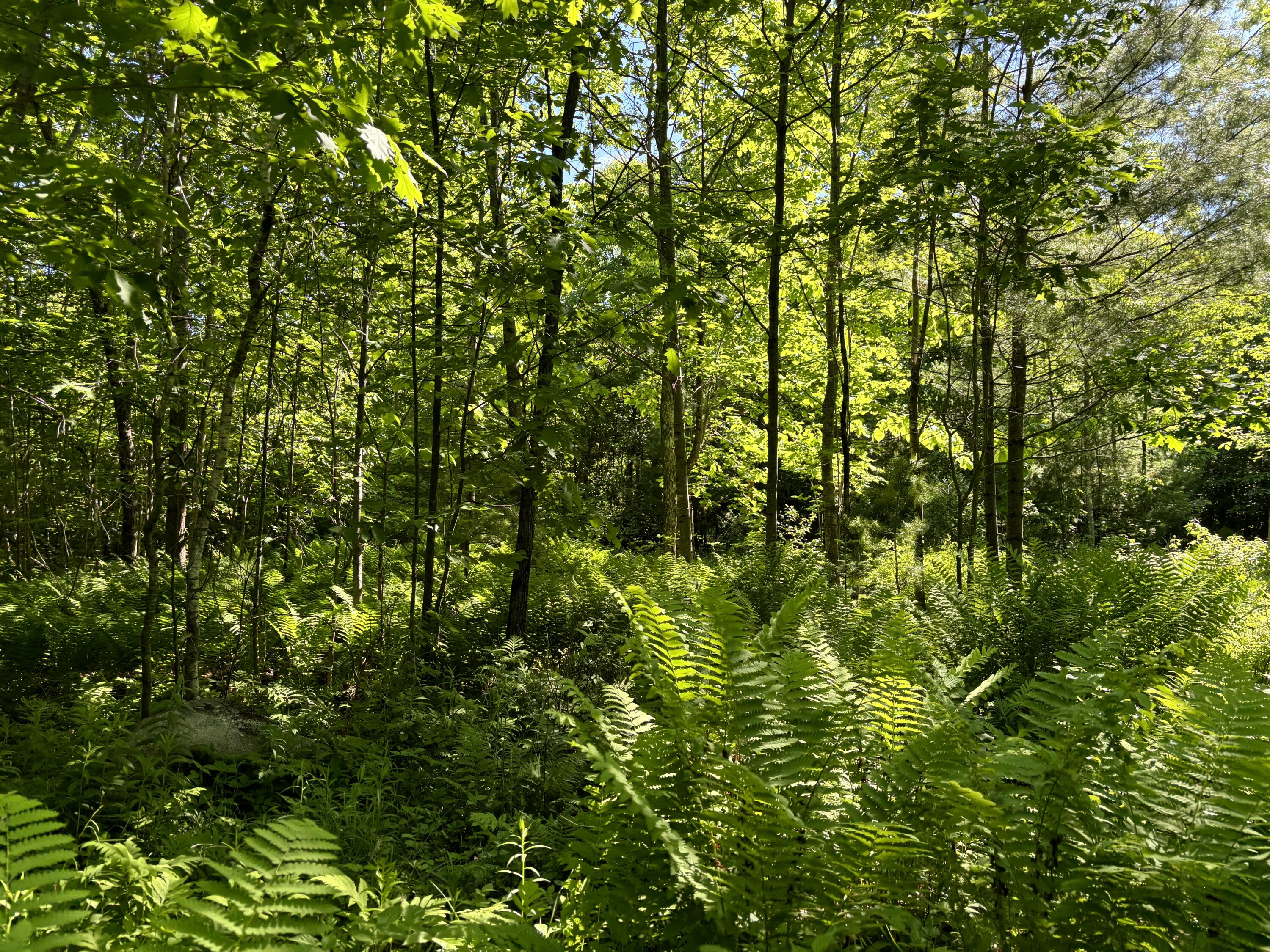 196 North Taylor Road Mount Vernon, ME 04352 - Photo 1 of 5 IMG_2402
