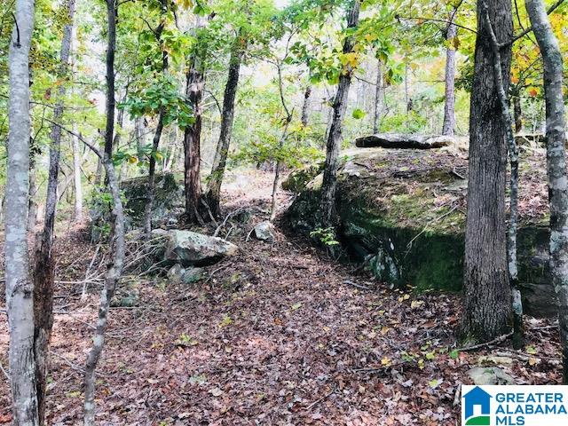 Enclave Drive, Unit 34 Springville, AL 35146 - Photo 7 of 12