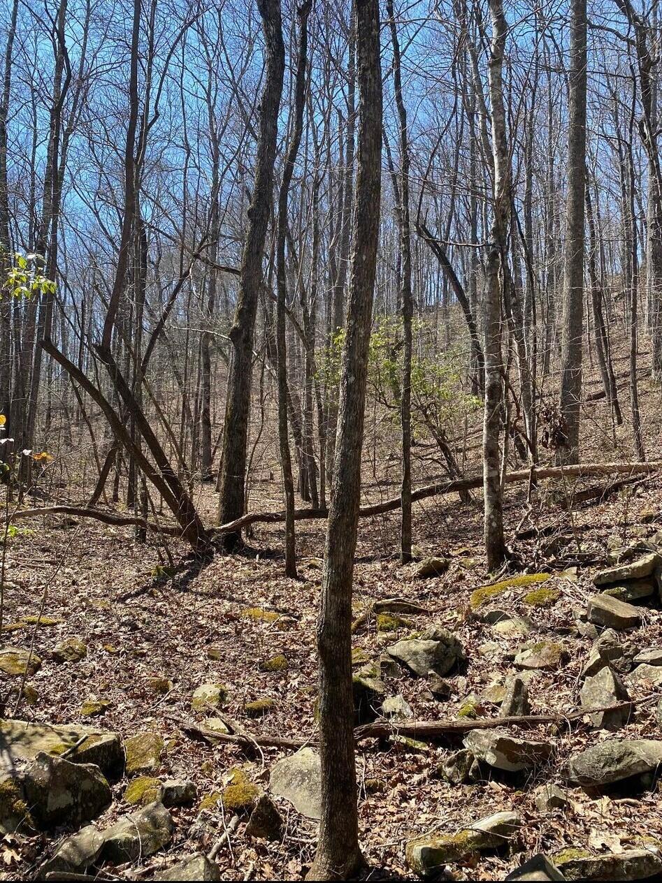 0 Deerhead Road, Unit 8 Dunlap, TN 37327 - Photo 6 of 12 433589524_1800119337130557_4848701095826