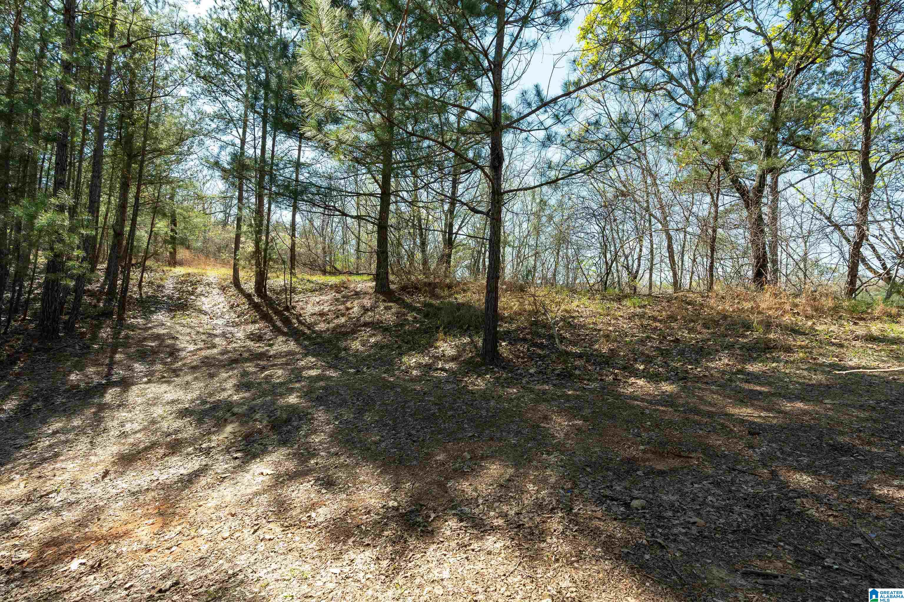 135 Forest Parks Road, Unit 5 Chelsea, AL 35043 - Photo 28 of 32 Gallery Image 28