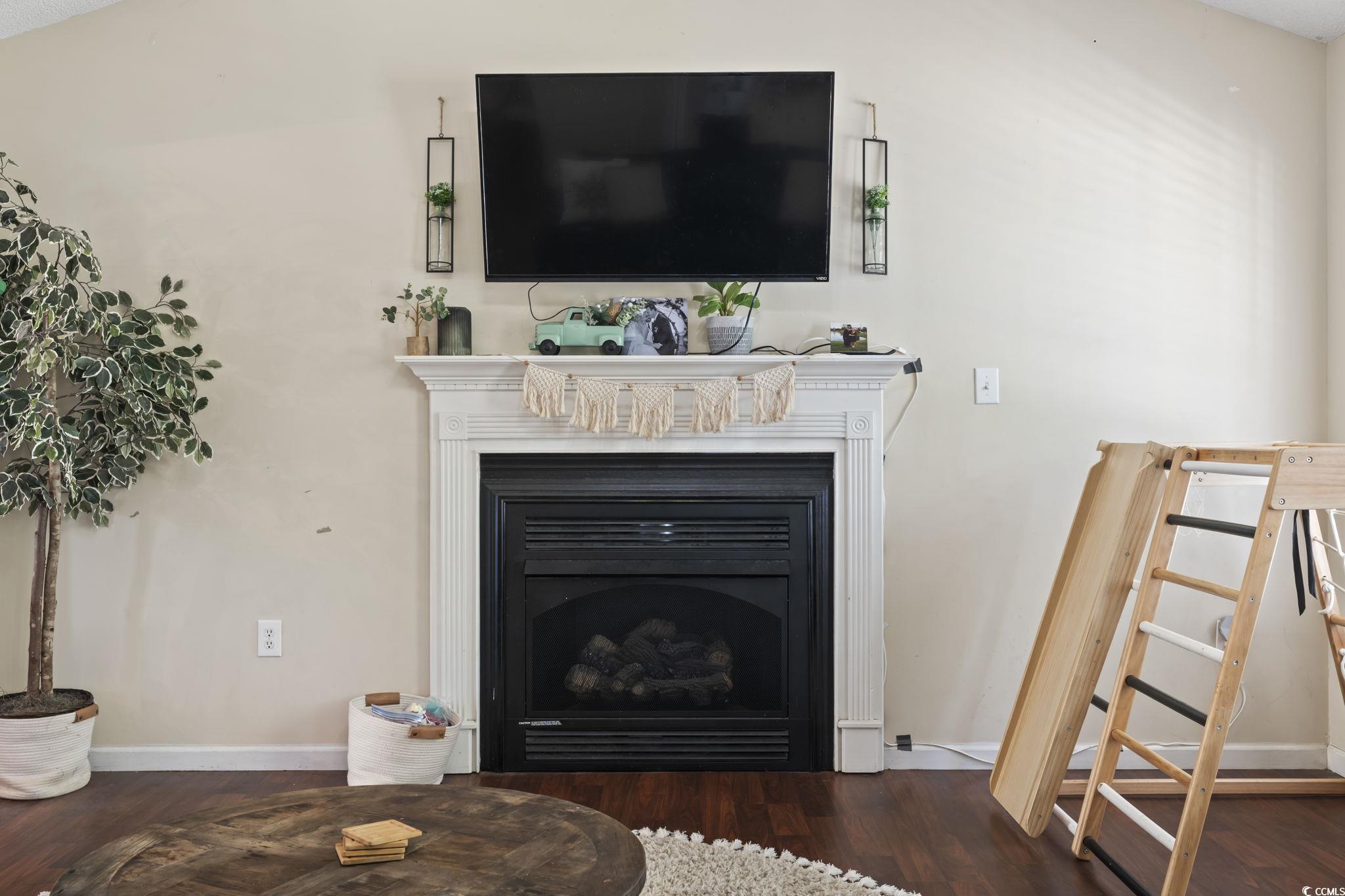7530 Maple Swamp Road Gresham, SC 29546 - Photo 17 of 40 Details with a fireplace, baseboards, and wood fin