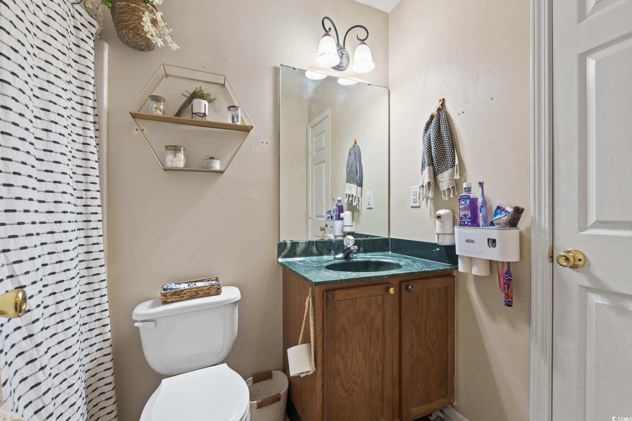 7530 Maple Swamp Road Gresham, SC 29546 - Photo 18 of 40 Bathroom featuring vanity and toilet