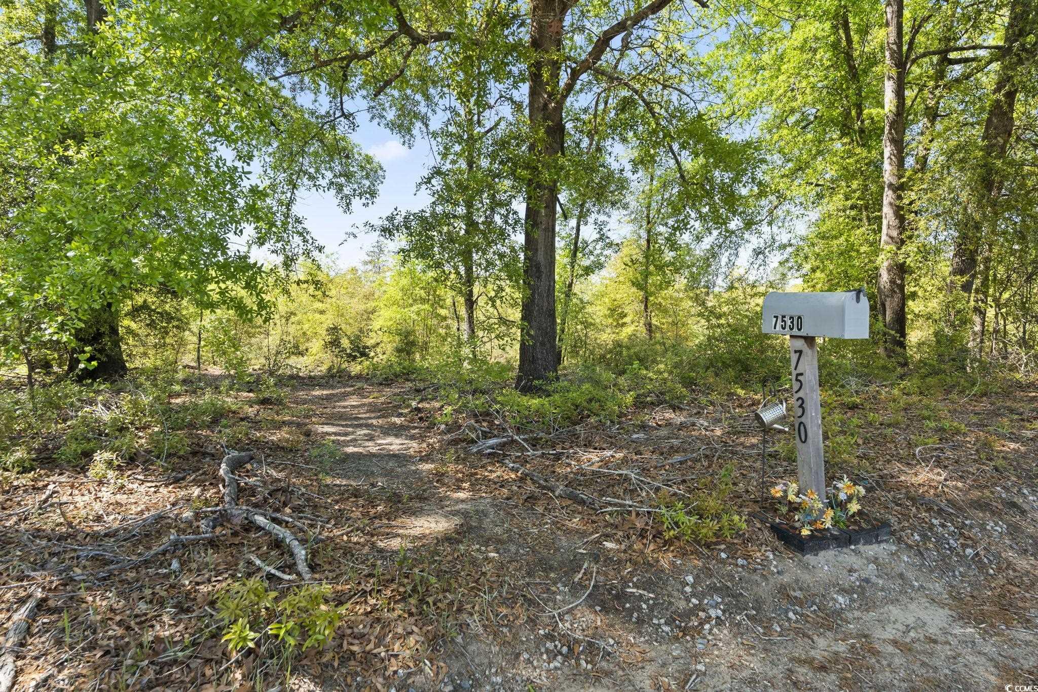 7530 Maple Swamp Road Gresham, SC 29546 - Photo 37 of 40 Exterior space