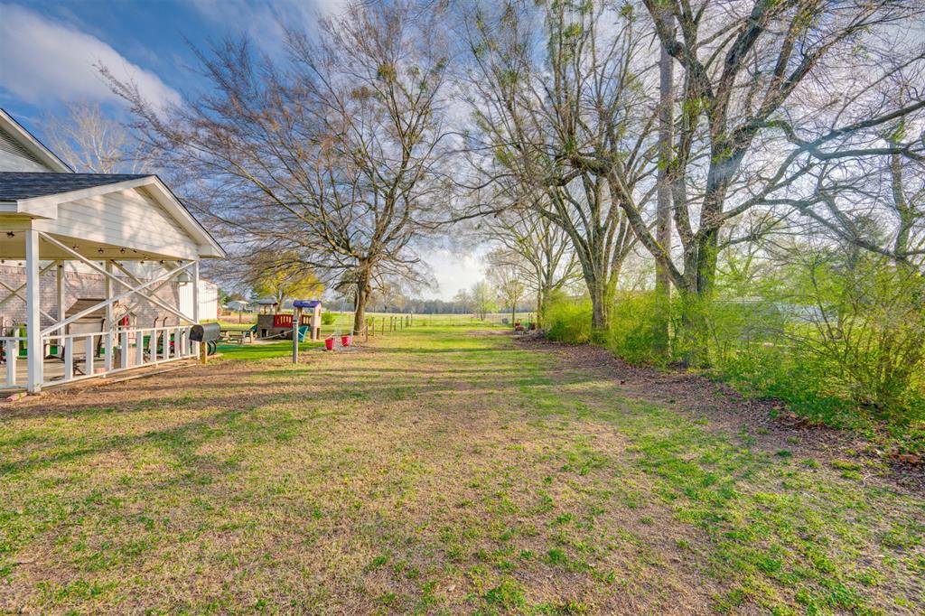 1876 Farm To Market 906 Powderly, TX 75473 - Photo 27 of 38 a view of road with large trees