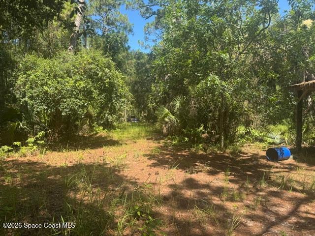 0 Stephanie Way Cocoa, FL 32926 - Photo 2 of 6 thumbnail (1)
