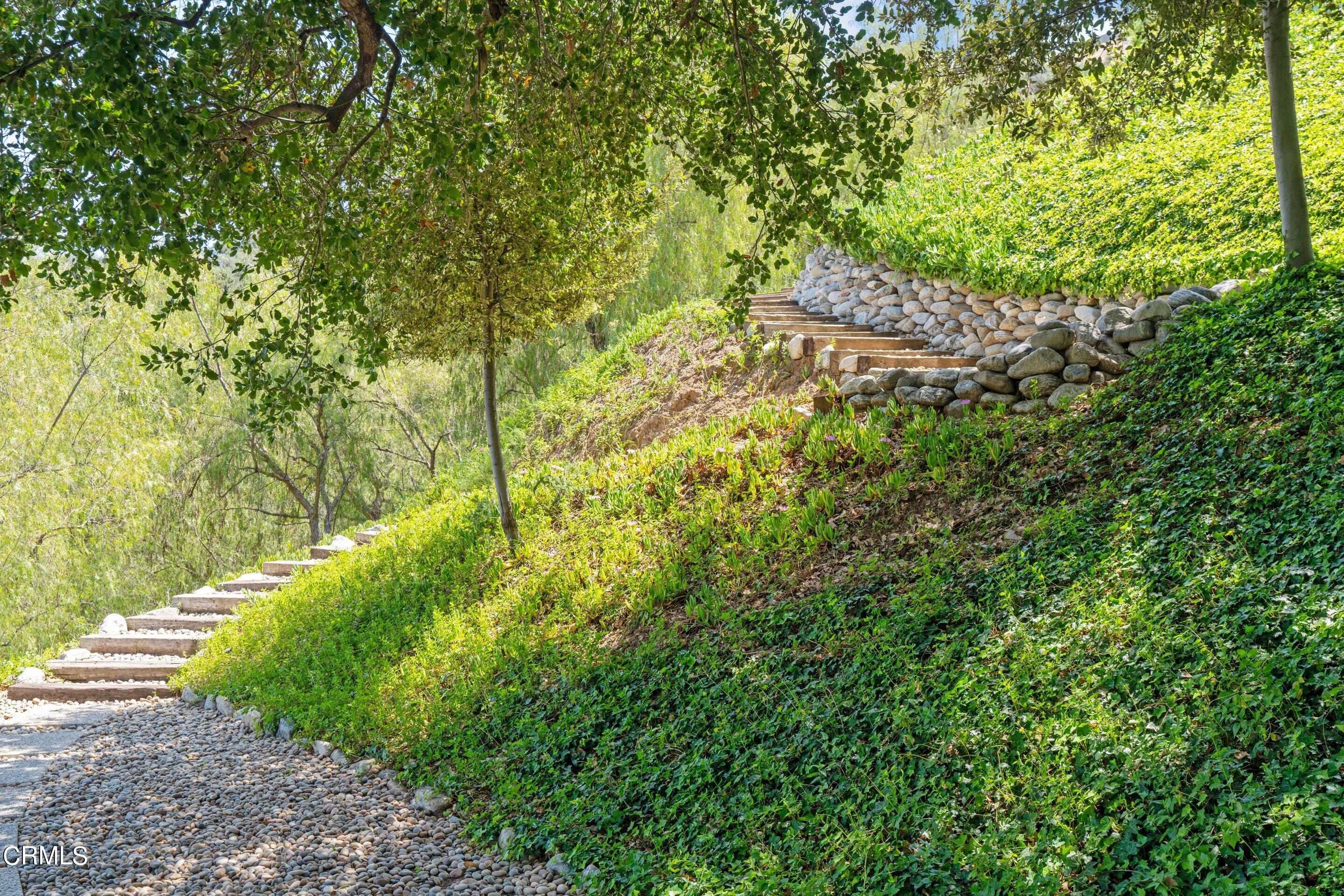 1460 Linda Ridge Road Pasadena, CA 91105 - Photo 42 of 63 a view of a yard with plants and large trees