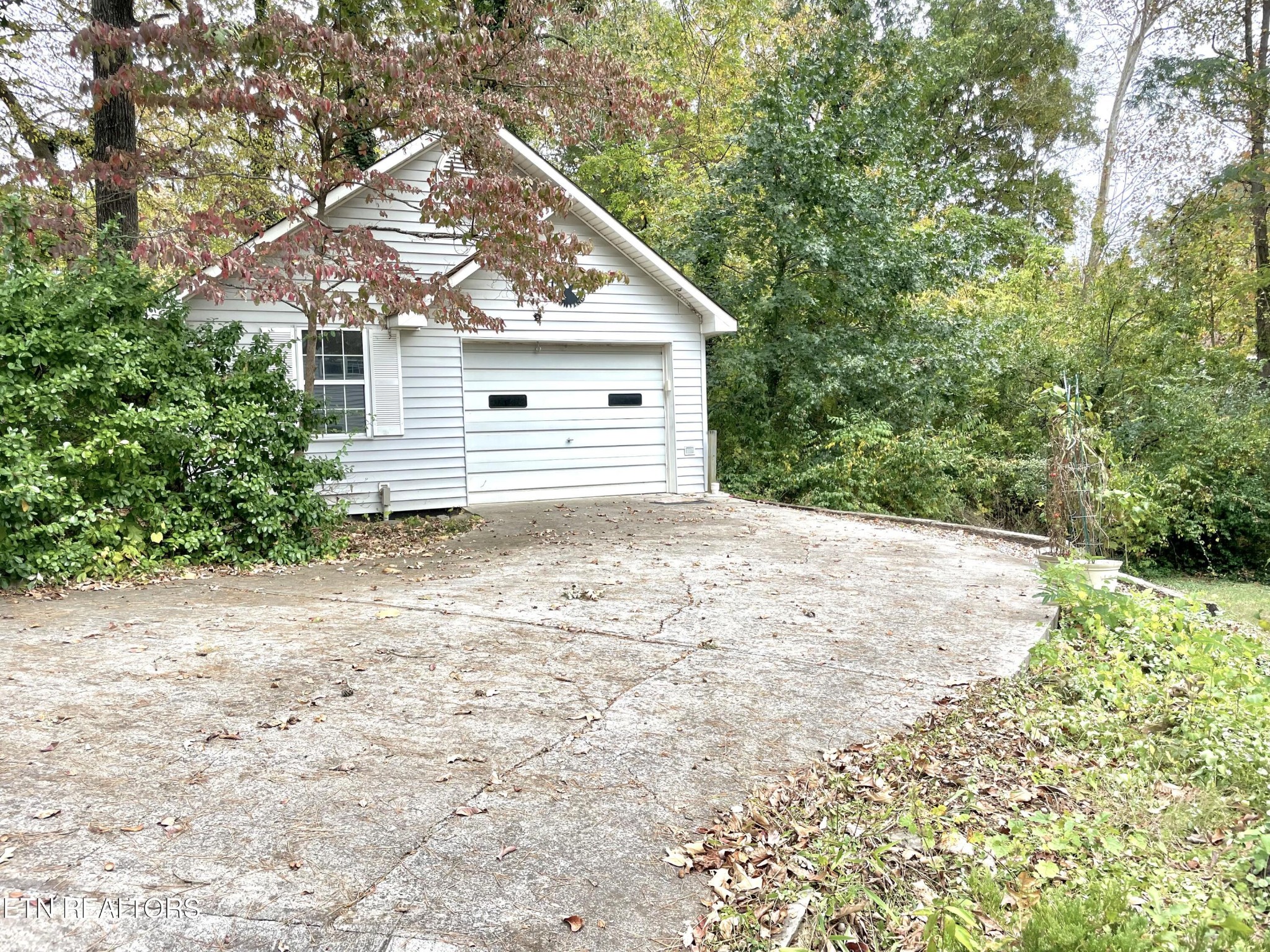 134 Parsons Road Oak Ridge, TN 37830 - Photo 5 of 49