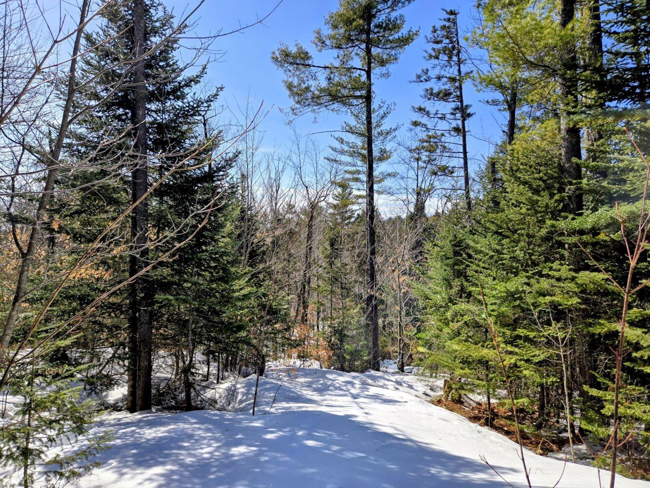 Lot 10 Staples Pond Road Temple, ME 04984 - Photo 51 of 56