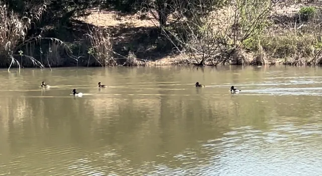 a view of a lake view