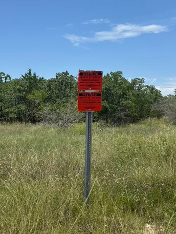 a view of a back yard