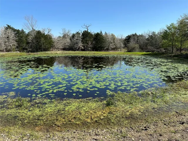 a view of a lake with a big yard