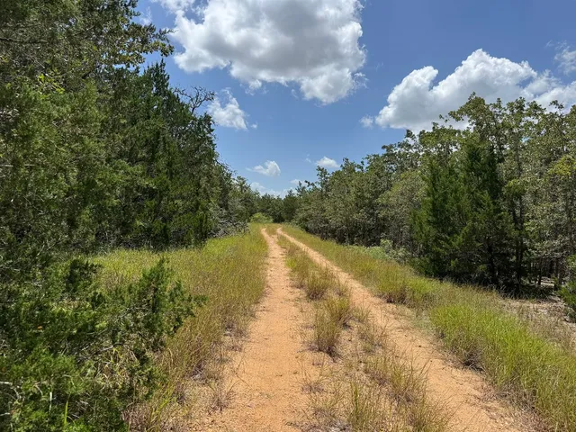 a view of a lake in middle of forest