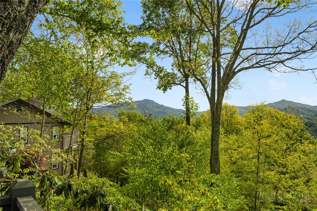 246 Mulberry Lane Boone, NC 28607 - Photo 15 of 49 a view of a yard