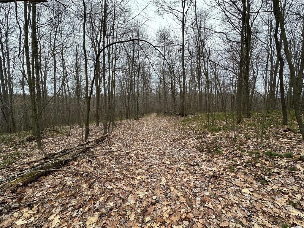 0 South Geibel Road Fenelton, PA 16034 - Photo 2 of 12 a view of outdoor space with trees