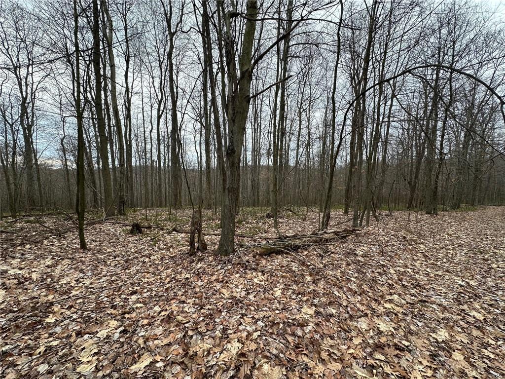 0 South Geibel Road Fenelton, PA 16034 - Photo 3 of 12 a view of a backyard with large trees