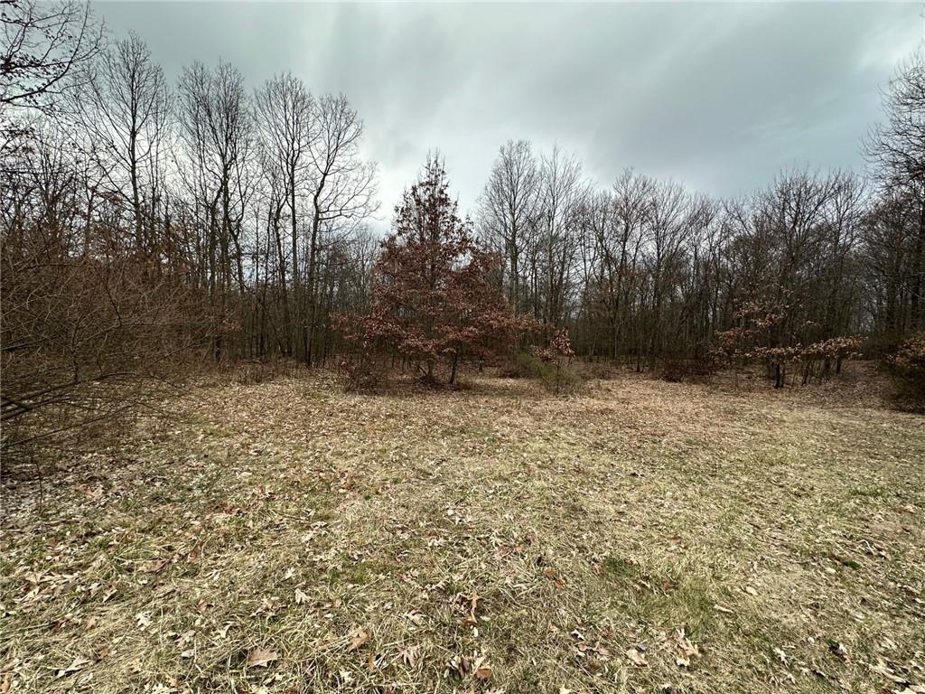 0 South Geibel Road Fenelton, PA 16034 - Photo 4 of 12 a view of outdoor space and garden