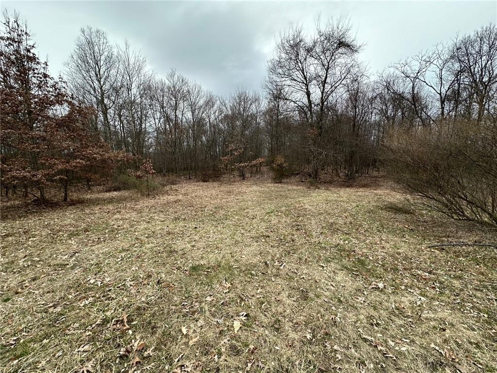0 South Geibel Road Fenelton, PA 16034 - Photo 5 of 12 a view of backyard with green space