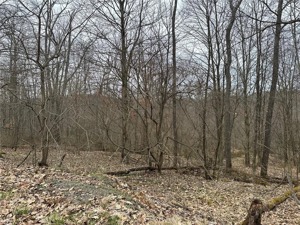 0 South Geibel Road Fenelton, PA 16034 - Photo 8 of 12 a backyard of a house with lots of trees