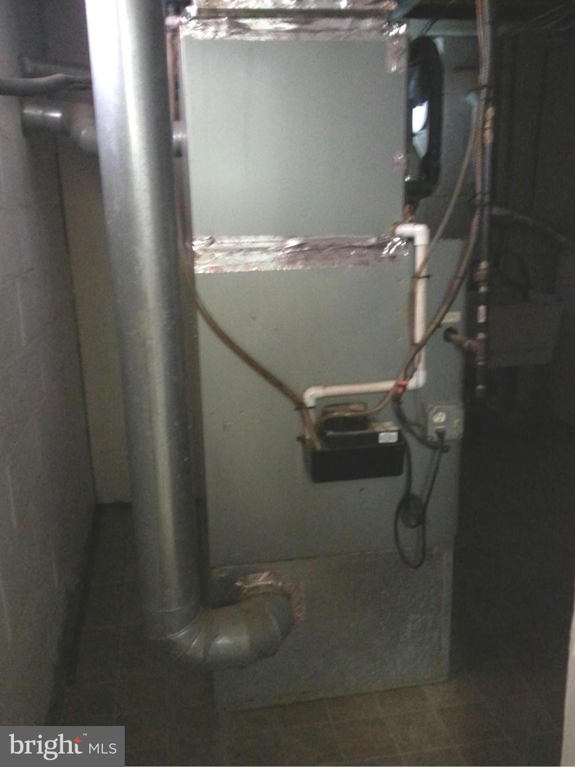 735 Bethnal Road Baltimore, MD 21229 - Photo 21 of 26 Basement
