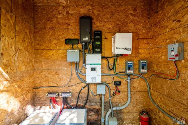 a view of a forest with trees