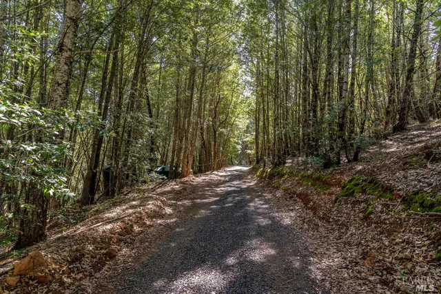 a view of outdoor space and yard