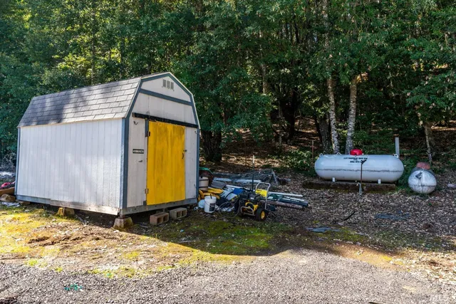 a view of a forest with trees