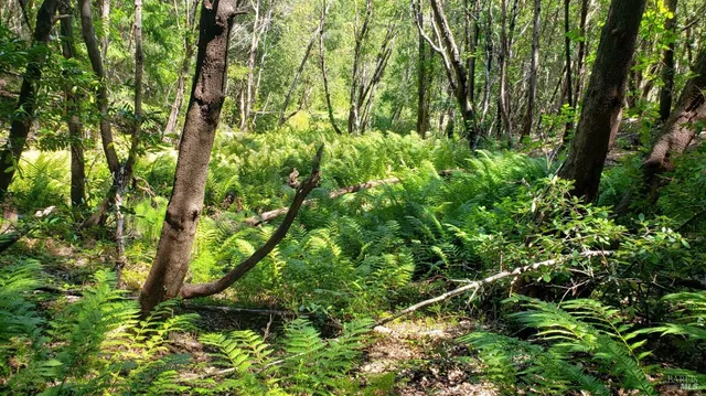 $319,000 | 27651 Skyview Road, Willits, CA 95490