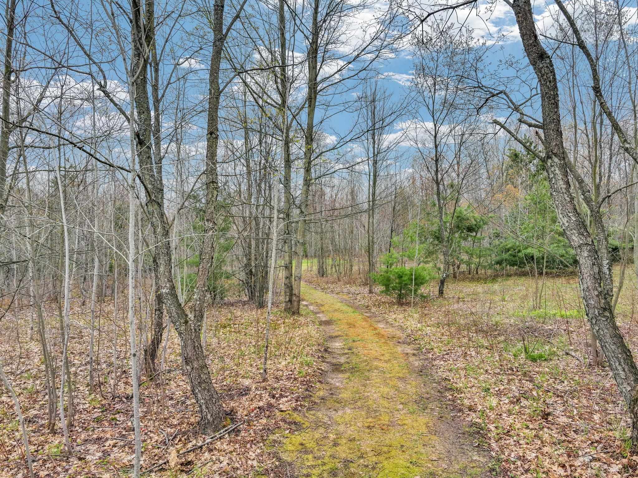 712 East 38 Road Cadillac, MI 49601 - Photo 64 of 67