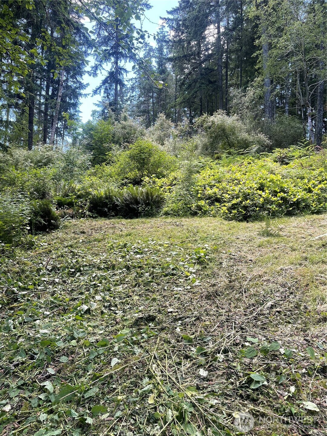 0 Reef Net Road Friday Harbor, WA 98250 - Photo 23 of 40