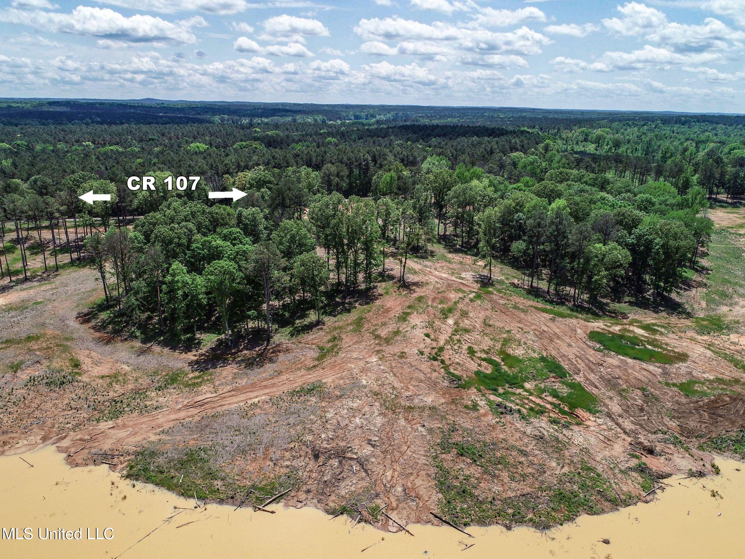 107 County Road Oxford, MS 38655 - Photo 41 of 82 4wr74a43