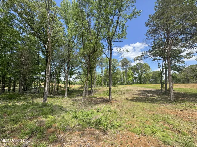 $795,000 | 107 County Road, Oxford, MS 38655