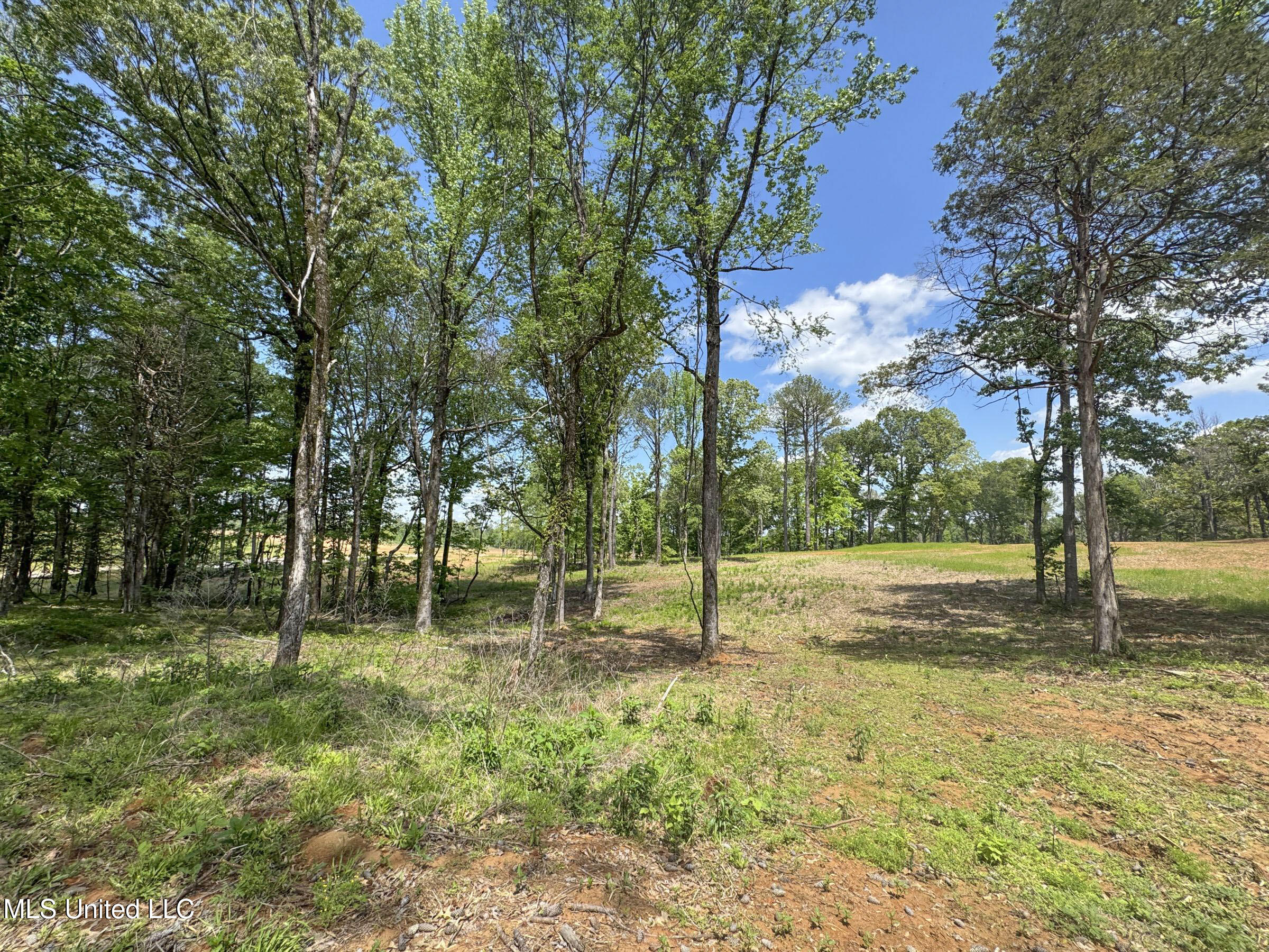 107 County Road Oxford, MS 38655 - Photo 62 of 82 5wr74a4
