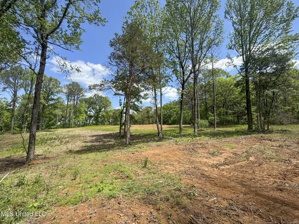 $795,000 | 107 County Road, Oxford, MS 38655