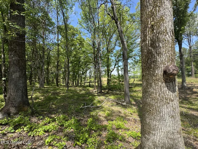 $795,000 | 107 County Road, Oxford, MS 38655