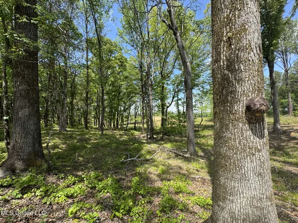 $795,000 | 107 County Road, Oxford, MS 38655