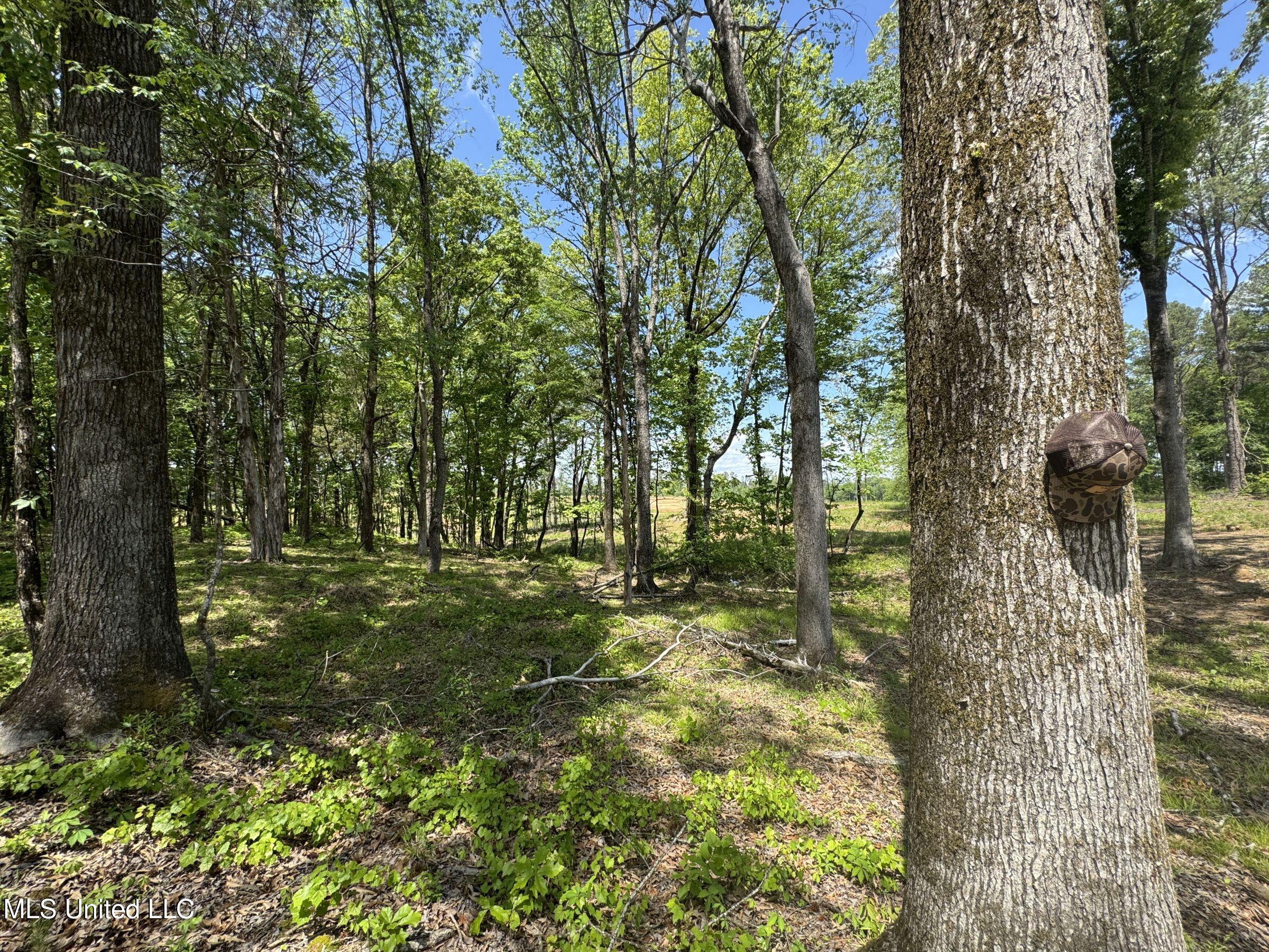 107 County Road Oxford, MS 38655 - Photo 65 of 83 5wr74a9
