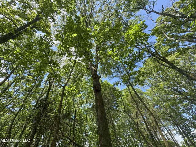 $795,000 | 107 County Road, Oxford, MS 38655