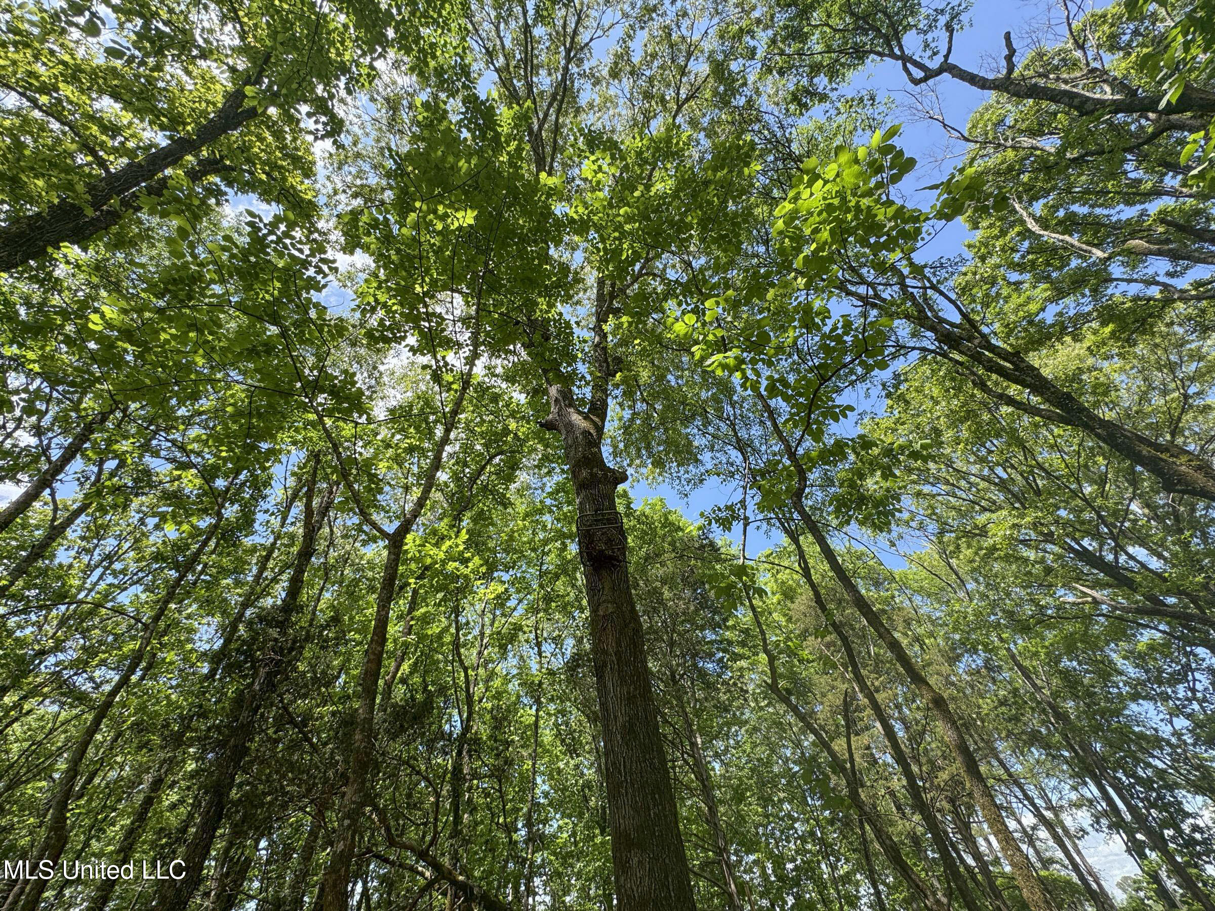 107 County Road Oxford, MS 38655 - Photo 66 of 83 5wr74a10