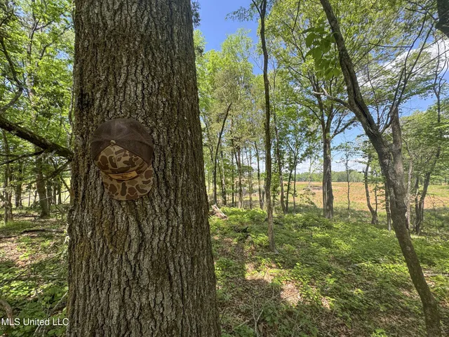 $795,000 | 107 County Road, Oxford, MS 38655